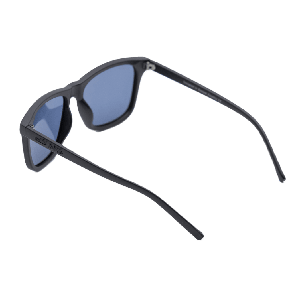 Wild Turtle Sunglasses: Zippo - Black Sky