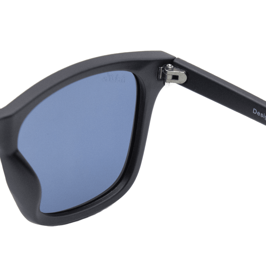 Wild Turtle Sunglasses: Zippo - Black Sky